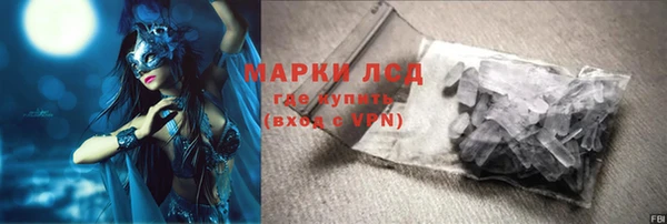 прущие грибы Алзамай