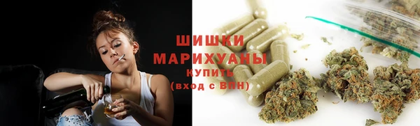 прущие грибы Алзамай