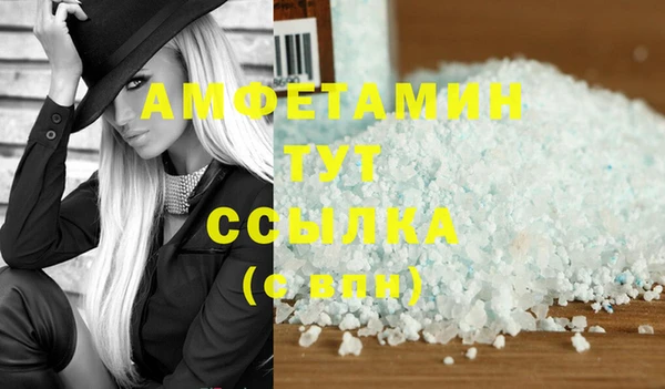 прущие грибы Алзамай