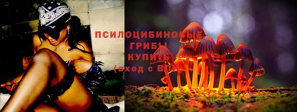 ГАЛЛЮЦИНОГЕННЫЕ ГРИБЫ Абинск