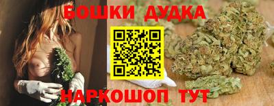 молекула духа Бийск