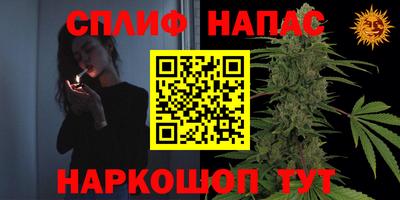 молекула духа Бийск